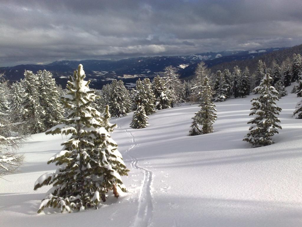 ホテル Sauschneideralm Faningberg エクステリア 写真
