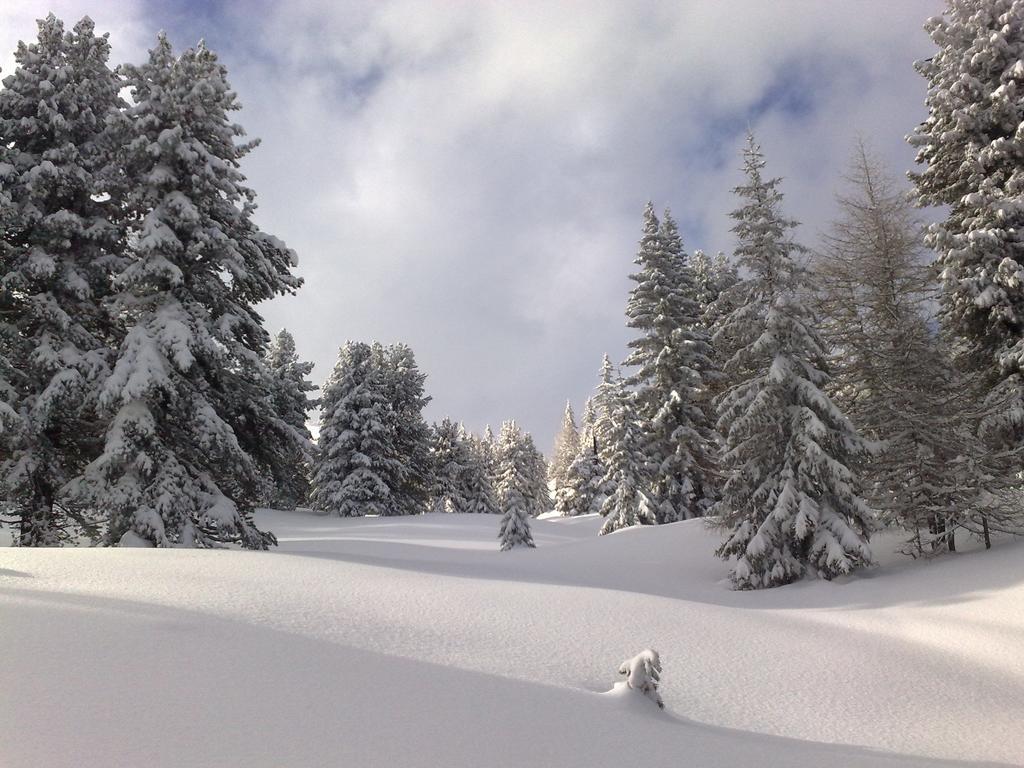 ホテル Sauschneideralm Faningberg エクステリア 写真